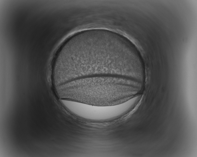 X0000087581502200705251830