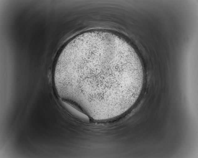 X0000087581505200705251830