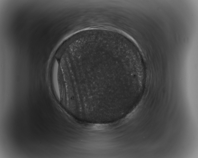 X0000087581506200705251830