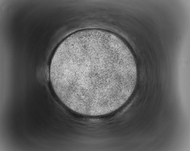 X0000087581509200705251830