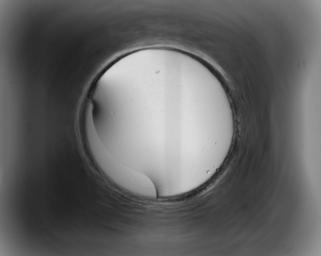 X0000087581510200705251830