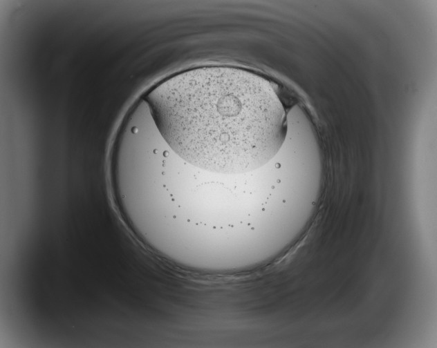 X0000087581514200705251830