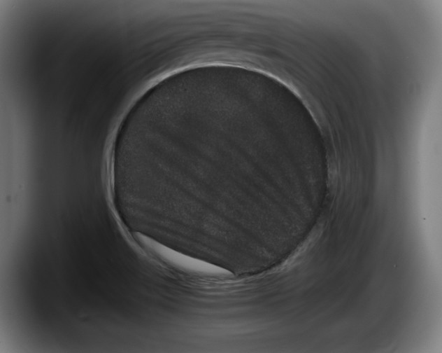 X0000087581515200705251830