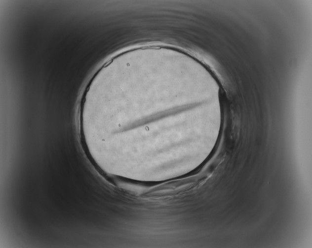 X0000087581516200705251831