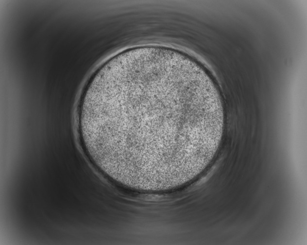 X0000087581517200705251831