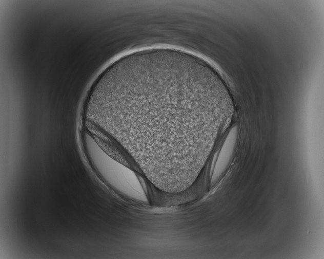 X0000087581518200705251831
