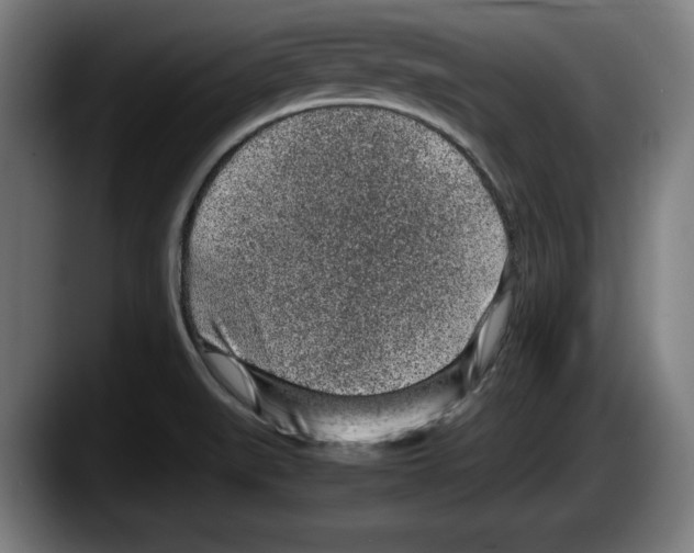 X0000087581519200705251831
