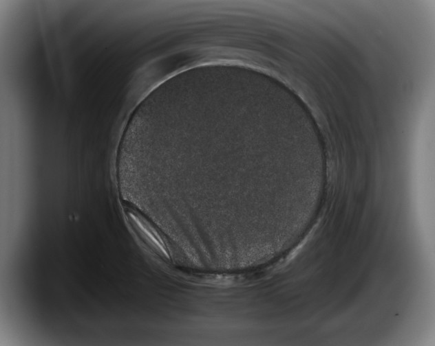 X0000087581521200705251831