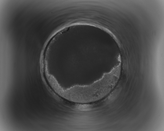 X0000087581522200705251831