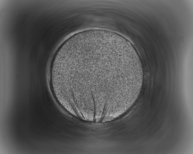 X0000087581523200705251831