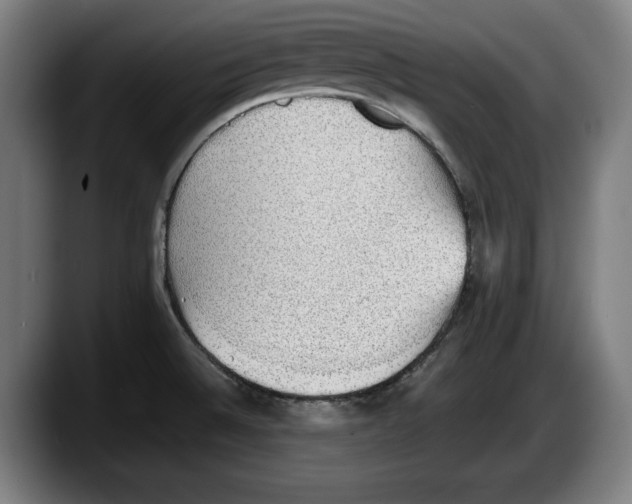 X0000087581524200705251831