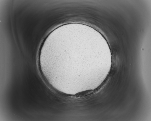 X0000087581525200705251831