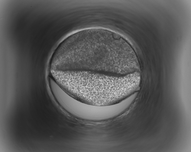 X0000087581526200705251831