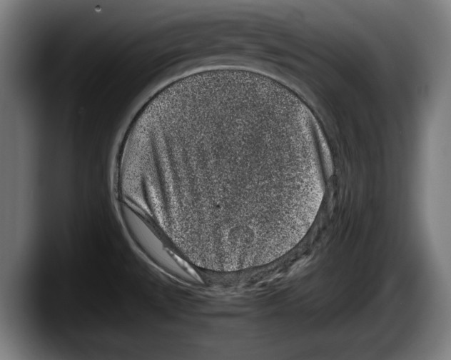 X0000087581527200705251831