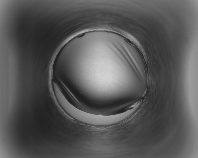 X0000087581528200705251831