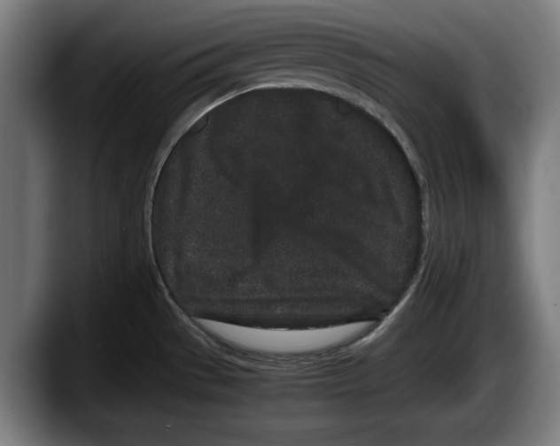 X0000087581529200705251831
