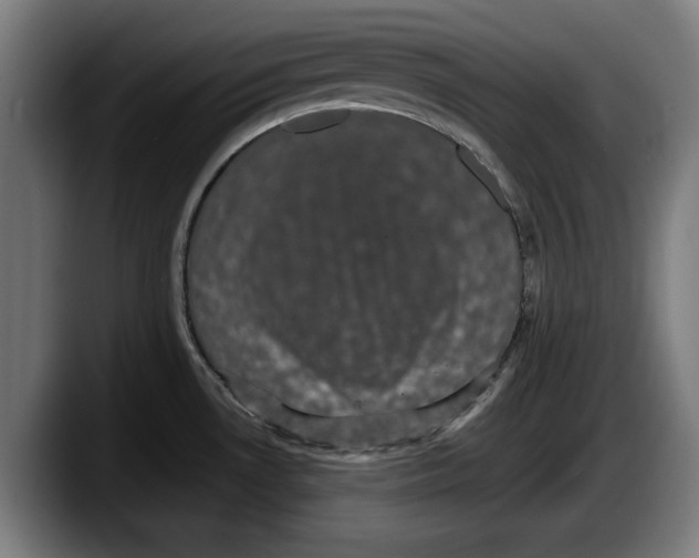 X0000087581530200705251831