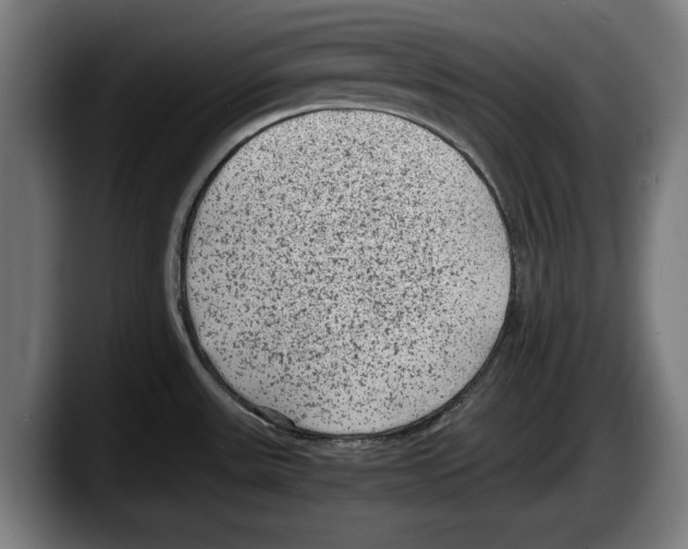 X0000087581531200705251831