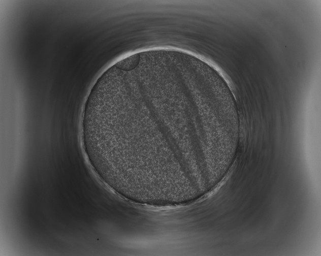 X0000087581534200705251831