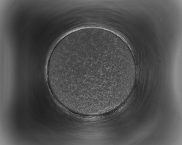X0000087581535200705251831