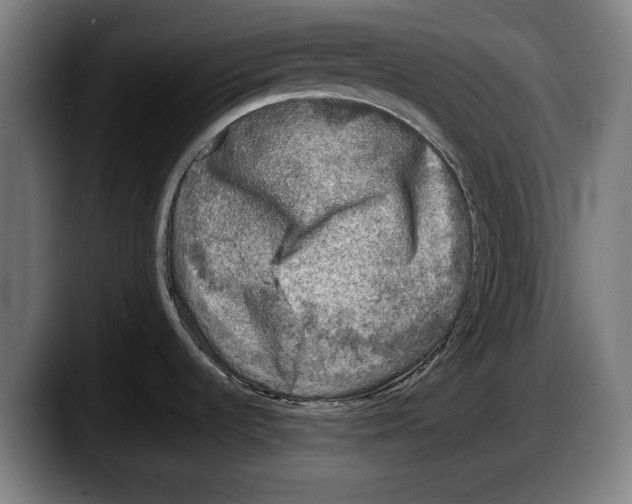X0000087581536200705251831