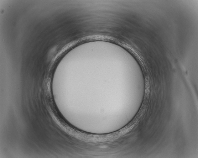 X0000087590016200704271122