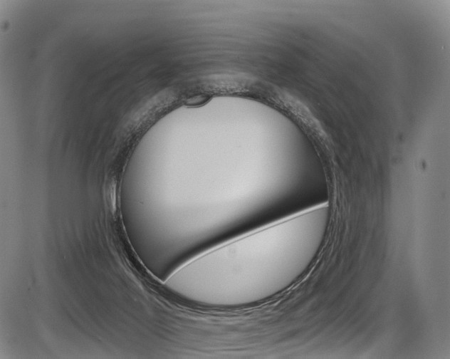 X0000087590021200704271121