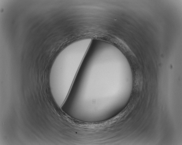 X0000087590025200704271121