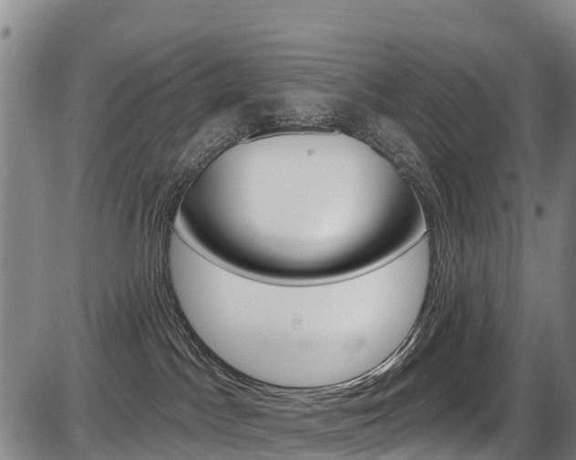 X0000087590045200704271121