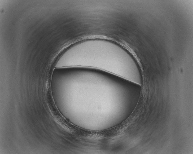 X0000087590063200704271120