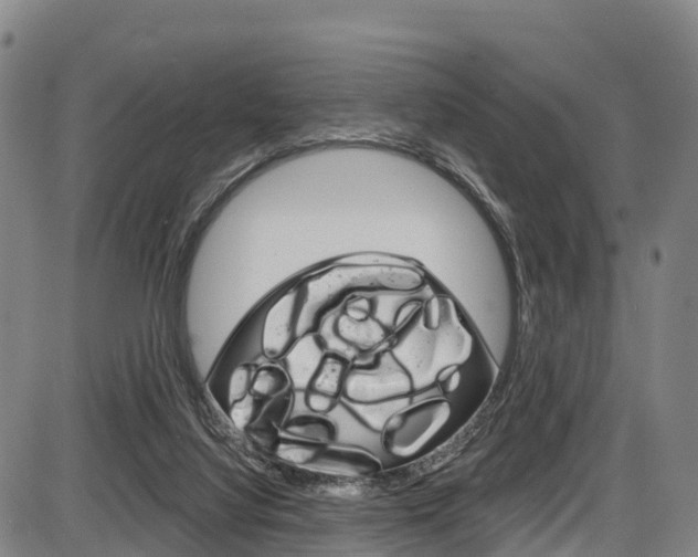 X0000087590068200704271121