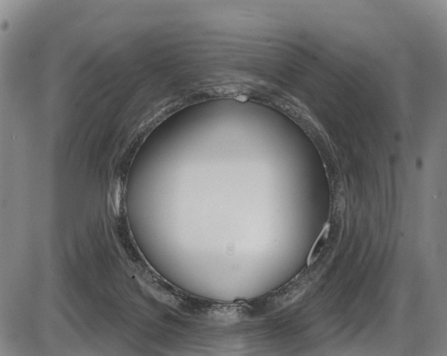 X0000087590076200704271121