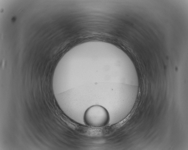 X0000087590078200704271121