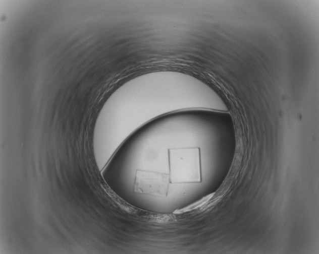 X0000087590096200704271121