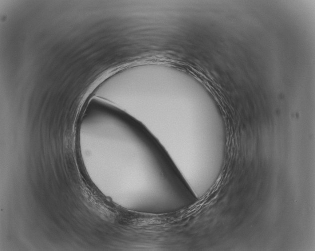 X0000087590100200704271120