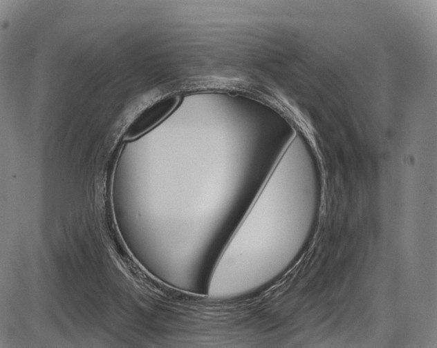 X0000087590107200704271120