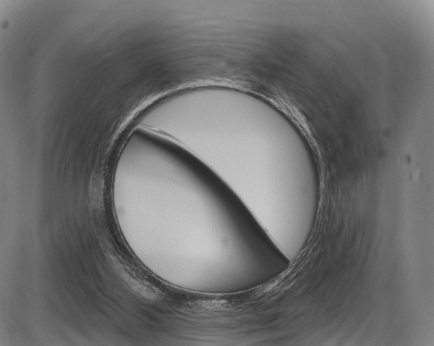 X0000087590108200704271120