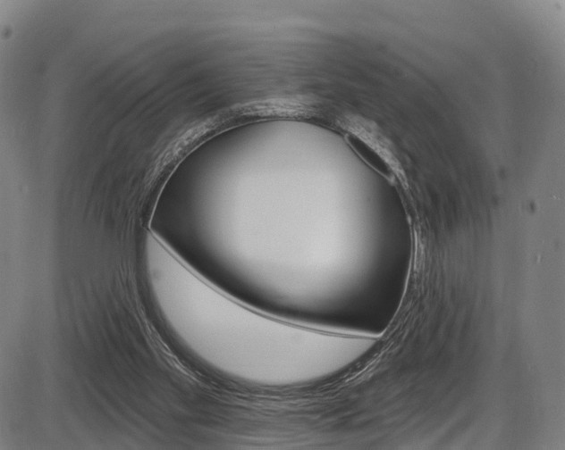 X0000087590109200704271120