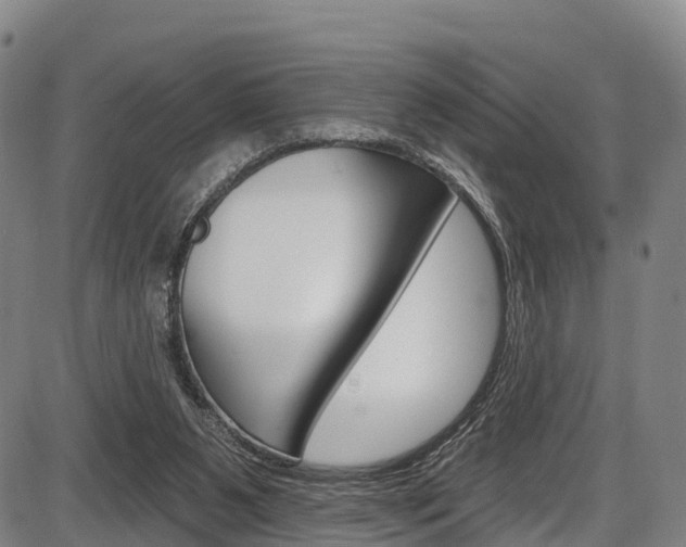 X0000087590111200704271120