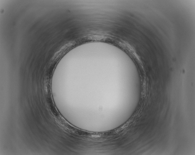 X0000087590114200704271120