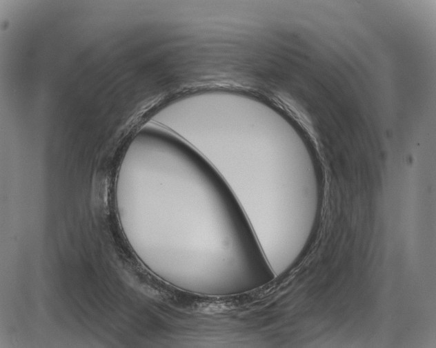 X0000087590115200704271120