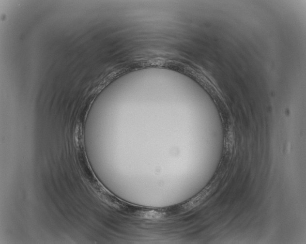 X0000087590122200704271120