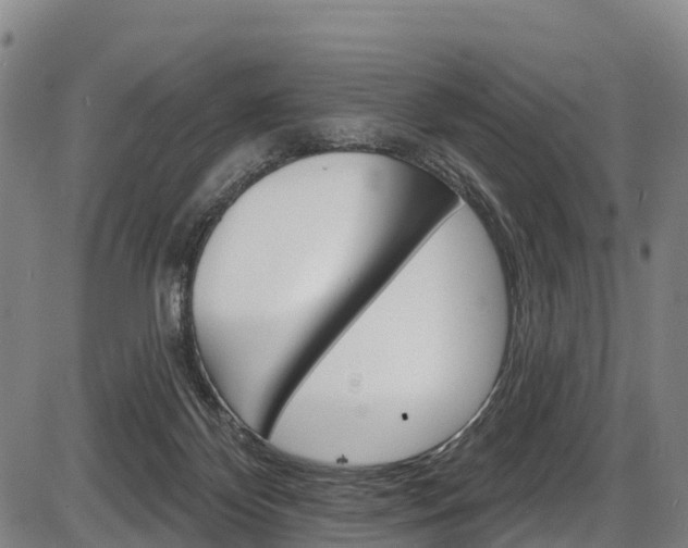 X0000087590124200704271120