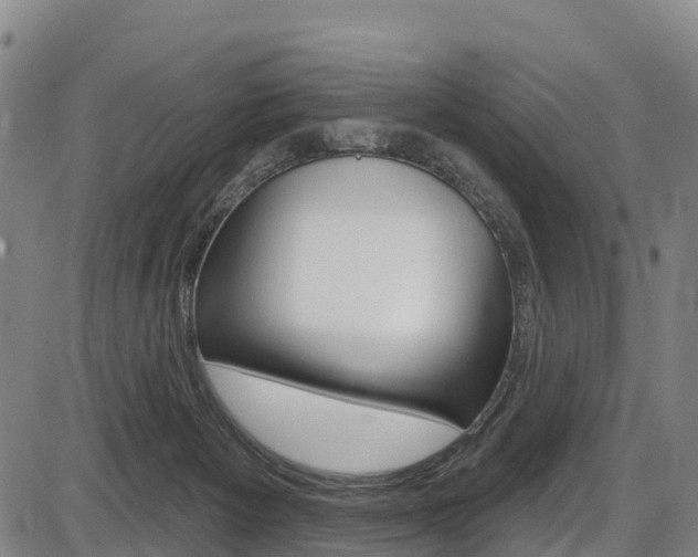 X0000087590125200704271120