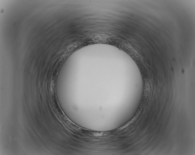 X0000087590130200704271120