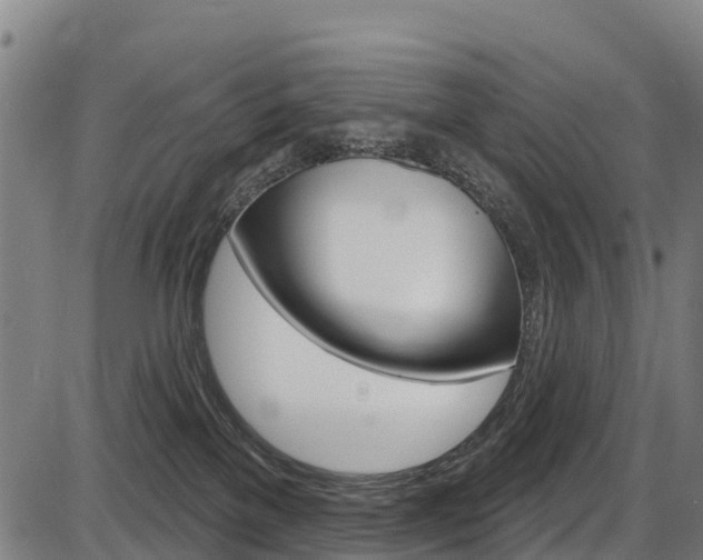X0000087590137200704271120