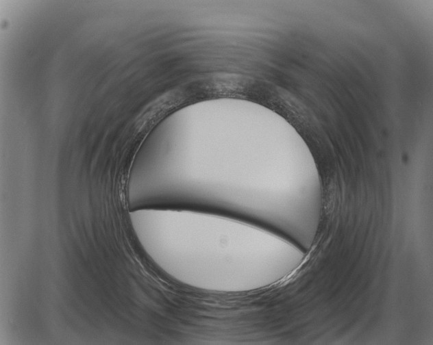 X0000087590140200704271120