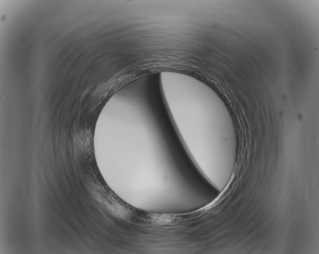 X0000087590144200704271119