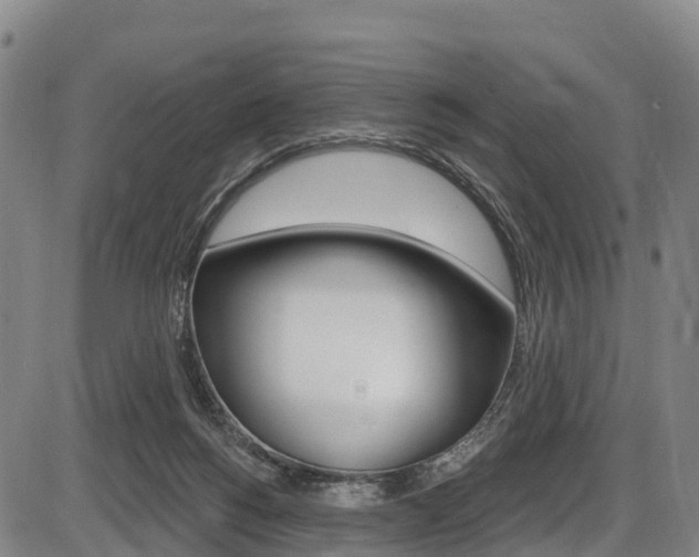 X0000087590168200704271119