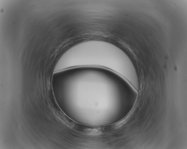 X0000087590170200704271119